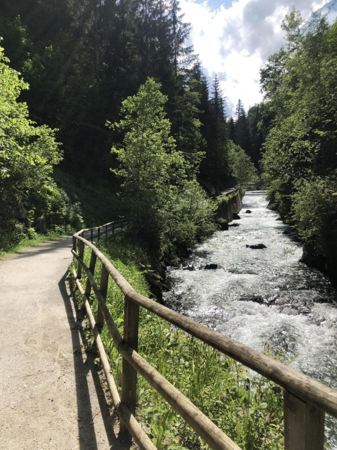 Mei-So-Nett Appartement Hutegger Schladming Zewnętrze zdjęcie