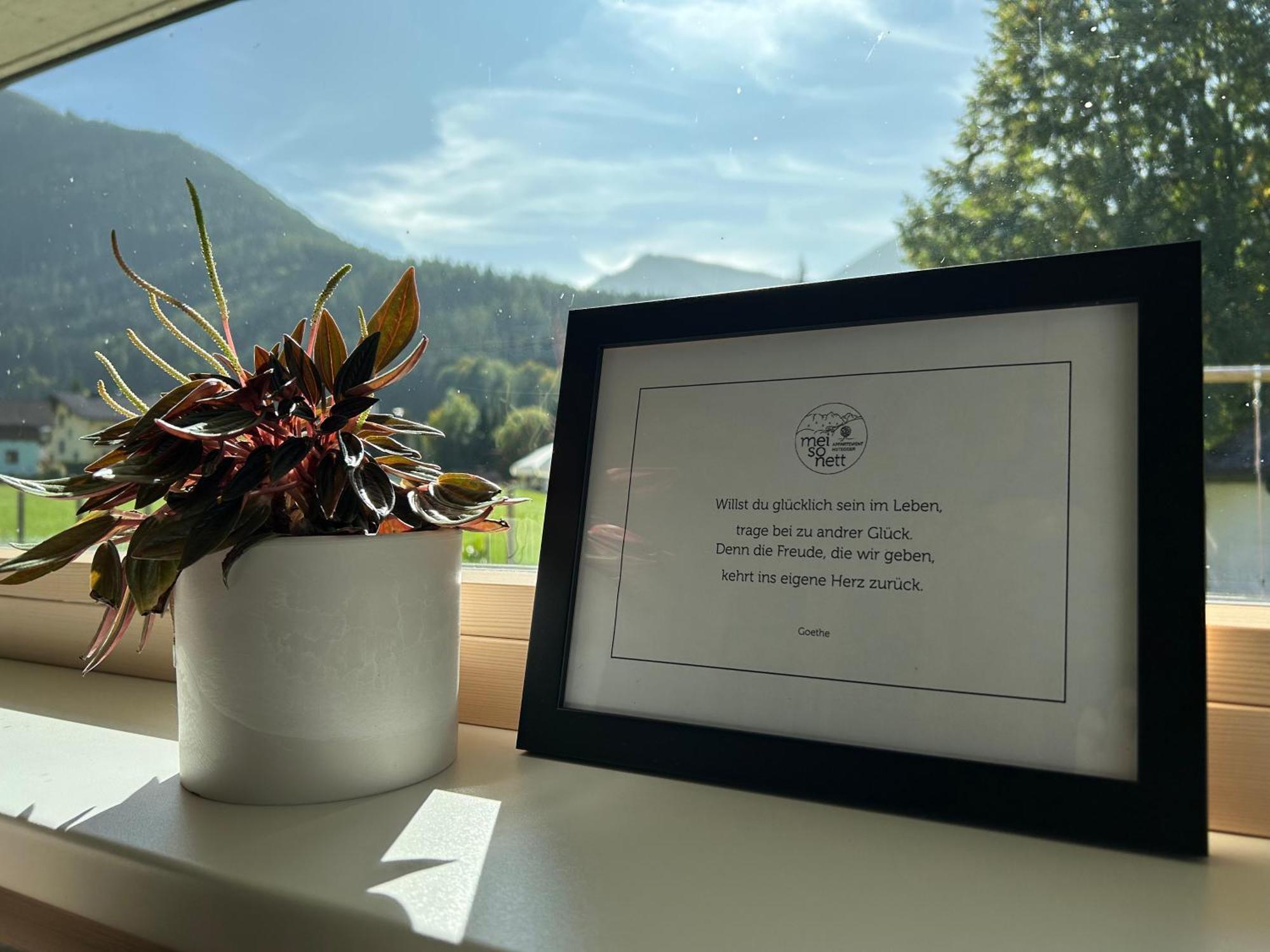 Mei-So-Nett Appartement Hutegger Schladming Zewnętrze zdjęcie
